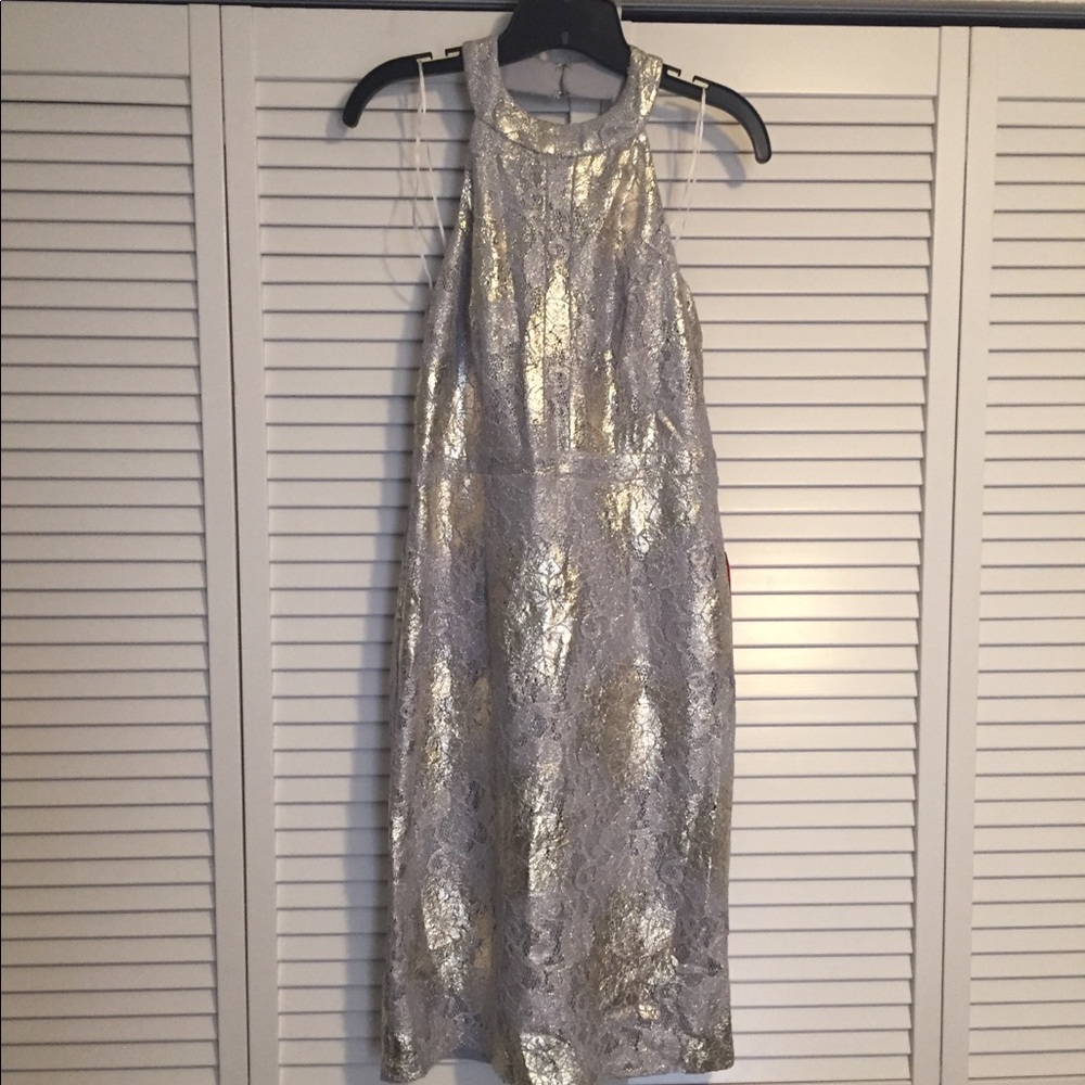New Holiday Party Dress, Silver with Gold Design
